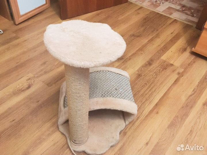 Когтеточка