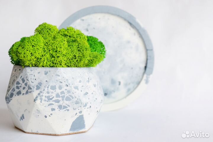 Бетонное кашпо + мох