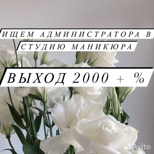 Администратор салона красоты