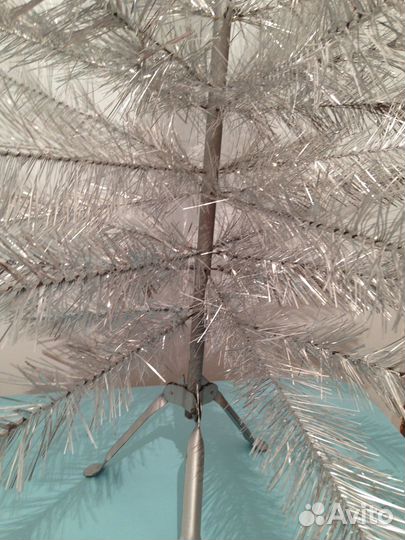 Елка серебристая СССР