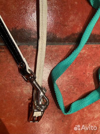 Ошейник, поводок, шлейка, намордник