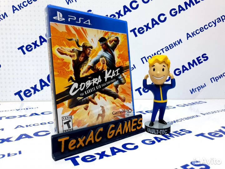 Cobra Kai: The Karate Saga Continues PS4