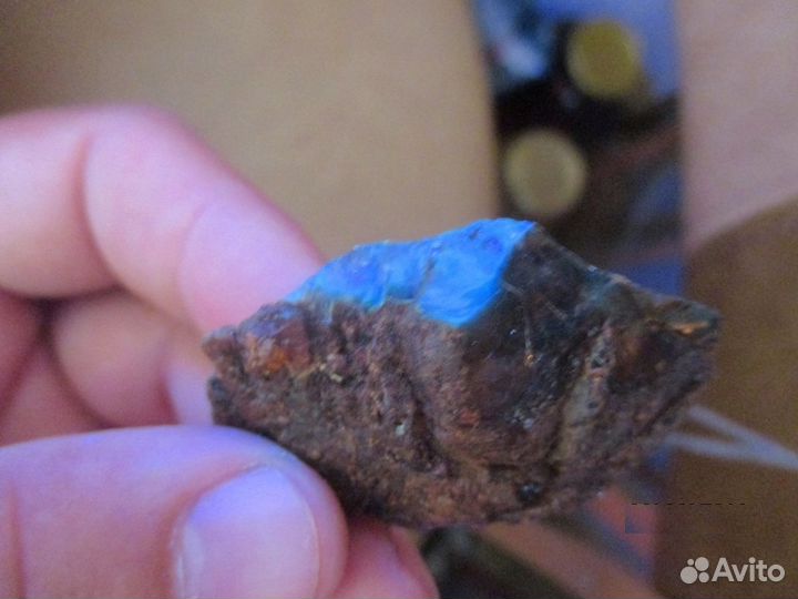 Янтарь с Доминиканы микс 21 гр