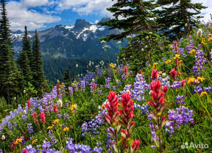 Продавец флорист