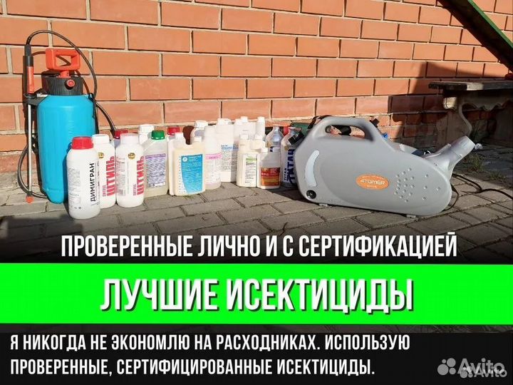 Дезинфекция тараканов. Уничтожение клопов. Травить