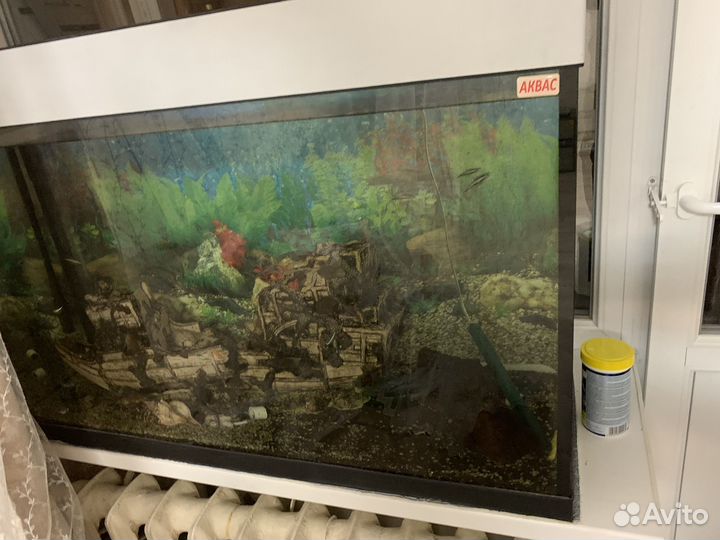 Аквариум с рыбками