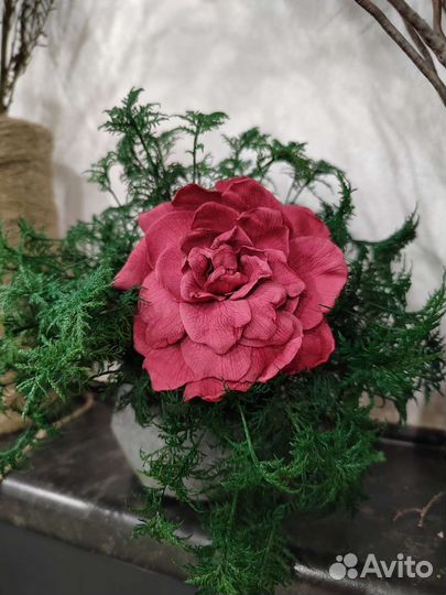 Кашпо со стабилизированными цветами и растениями