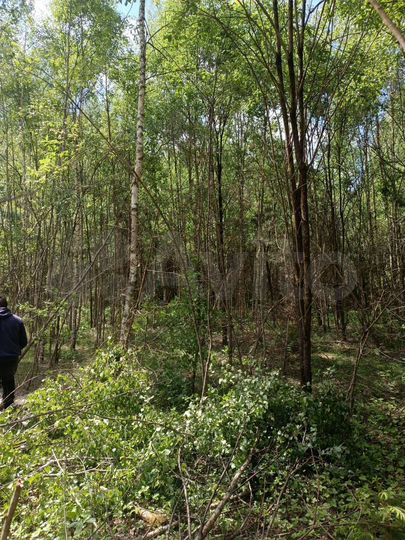 Участок 8 га (ИЖС)