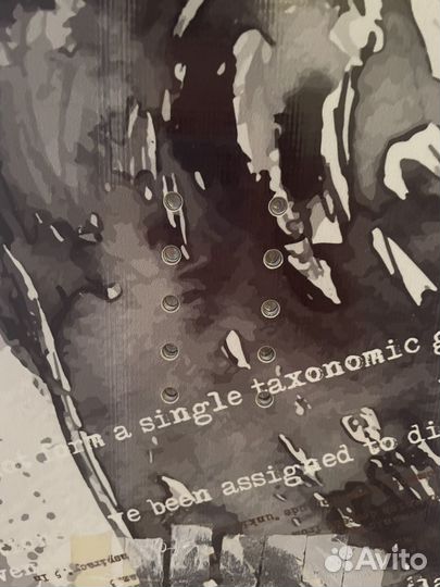 Сноуборд usd pro