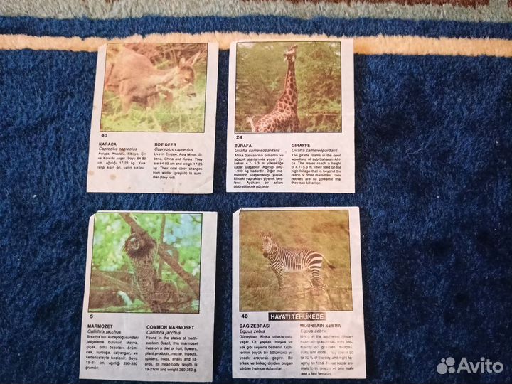 Фантики от жевачек 90е годы