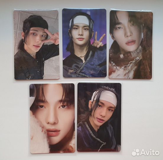 Карты Dicon Dfesta mini Stray Kids