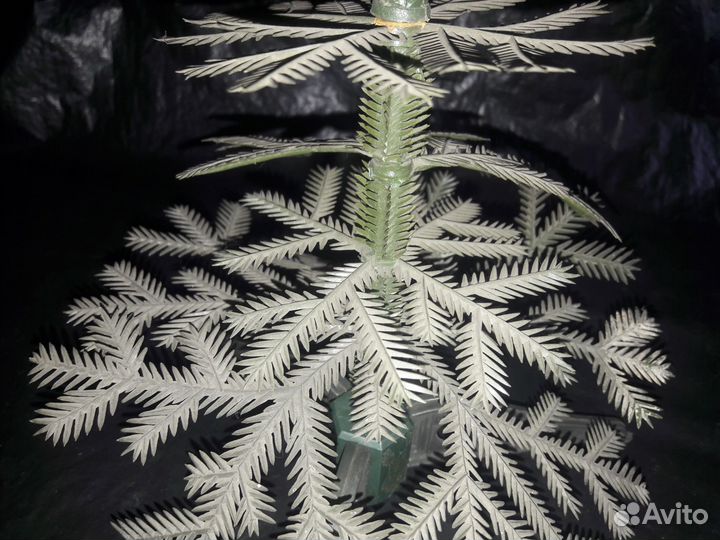 СССР Елка малютка