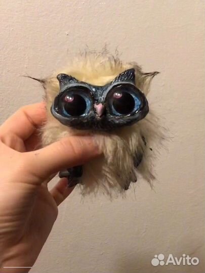 Художник фотограф ретушер музыкант поэт