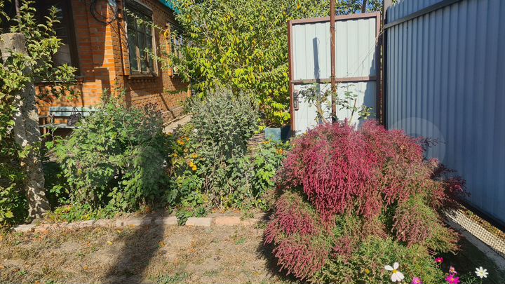 Дача 50 м² на участке 6,7 сот.