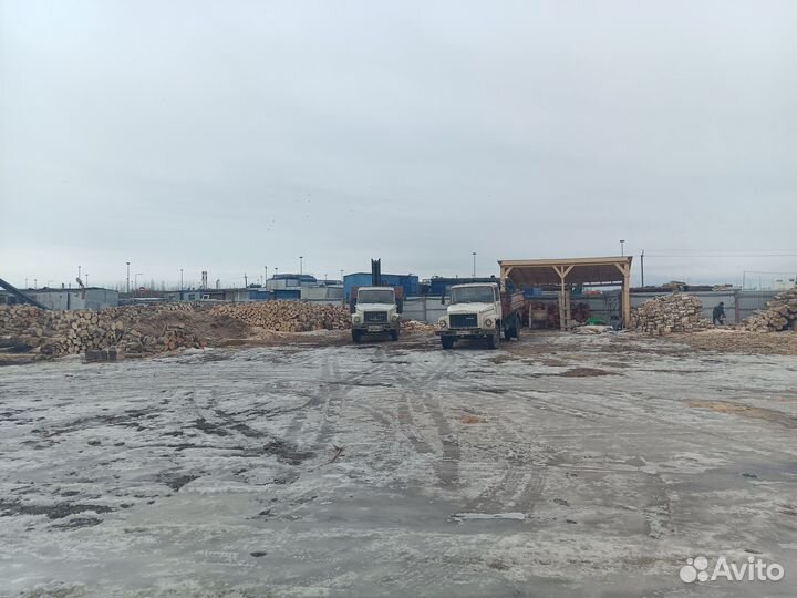 Дрова ясеневые от 4м3