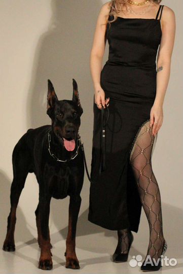 Платье вечернее. Аренда. Продажа