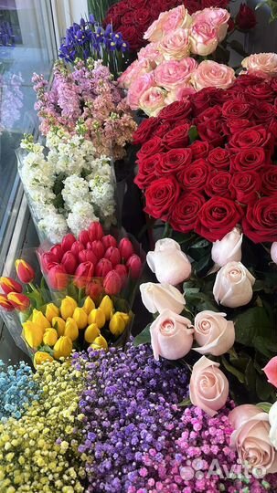 Букет тюльпанов