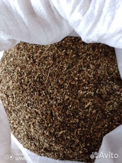 Семена махорки сорт ас 18/7