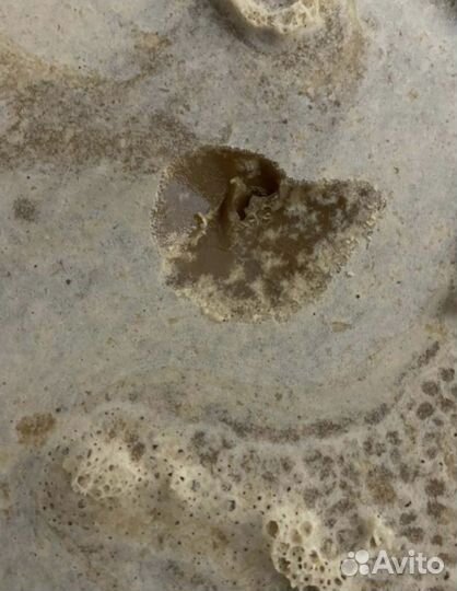 Мед оптом гречиха