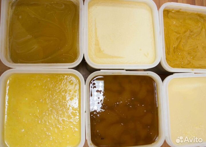 2024 Мёд натуральный алтайский опт