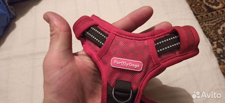 Шлейка ForMyDogs S