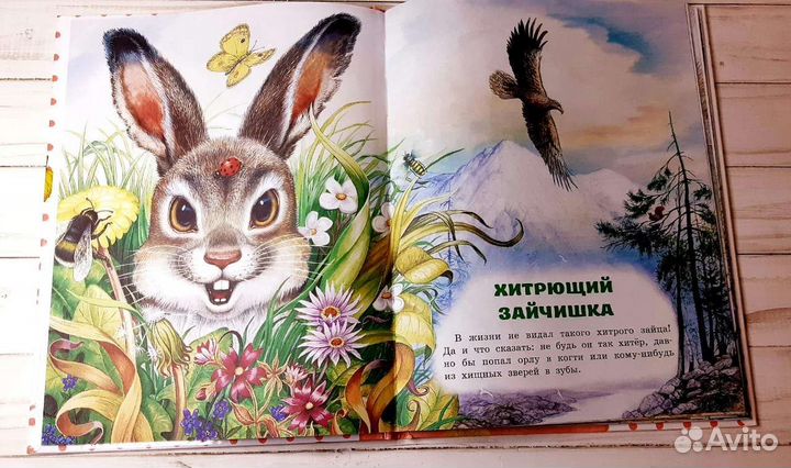 Сказки лесной опушки