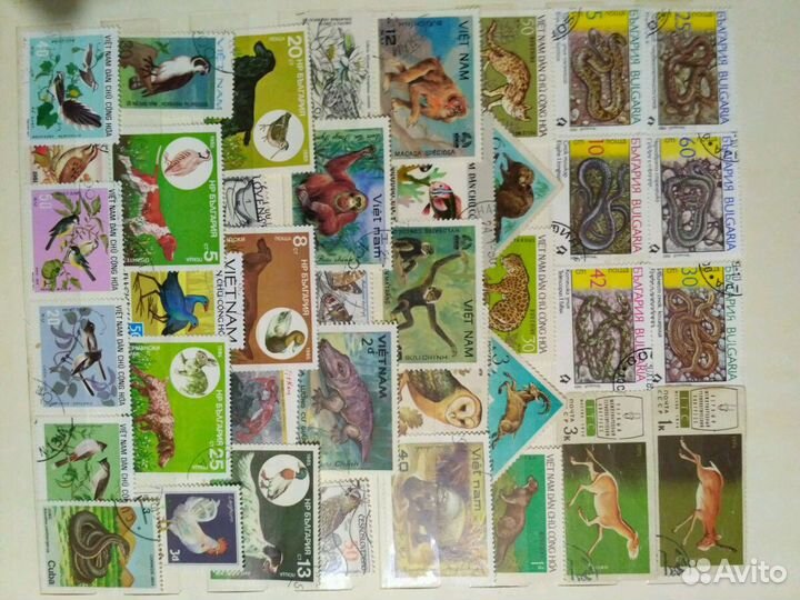 Альбом с почтовыми марками