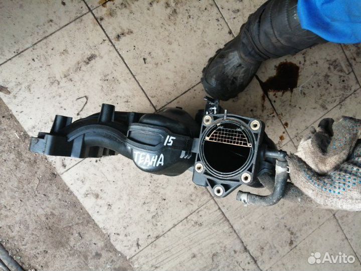 Коллектор впускной Nissan Teana J32 VQ25DE 2012