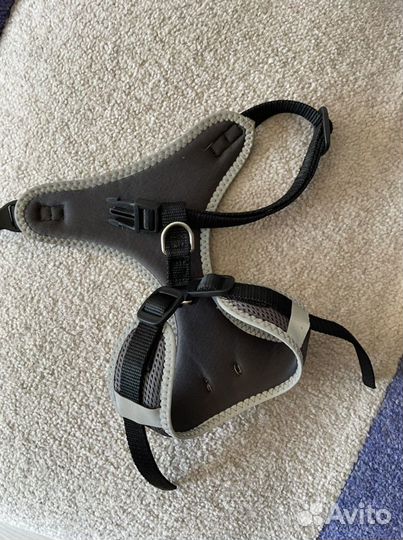 Шлейка для собак