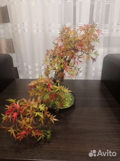 Бонсай искусственный клен