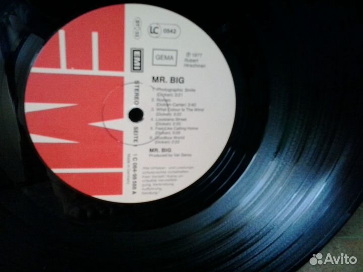 Виниловая пластинка Mr.Big (1977)