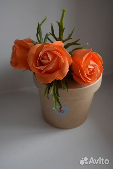 Подарок на 8 марта Букет роз