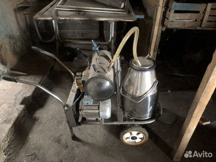 Доильный аппарат