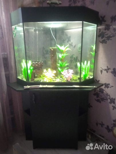 Угловой аквариум 100 литров с тумбочкой