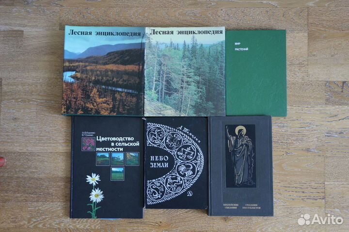 Косидовский - Библейские сказания