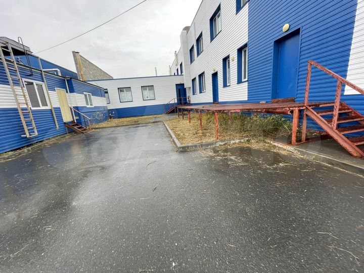 Торговая площадь, 115 м²