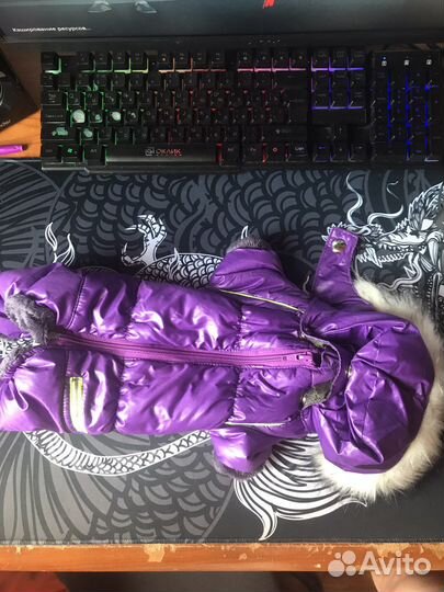 Зимний комбинезон для маленькой собачки