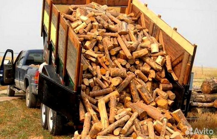 Дрова подсушенные