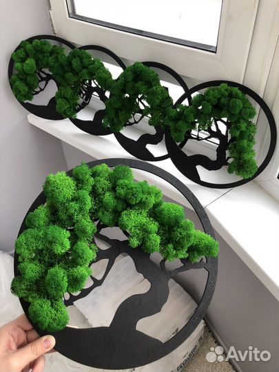 Панно со мхом дерево жизни Бонсай 30 см