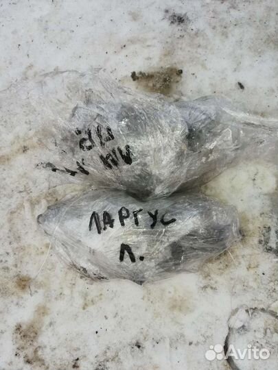 Барабанные тормоза Лада Ларгус