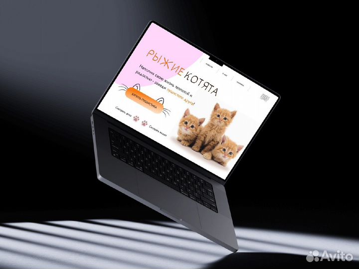 Веб дизайнер удаленно