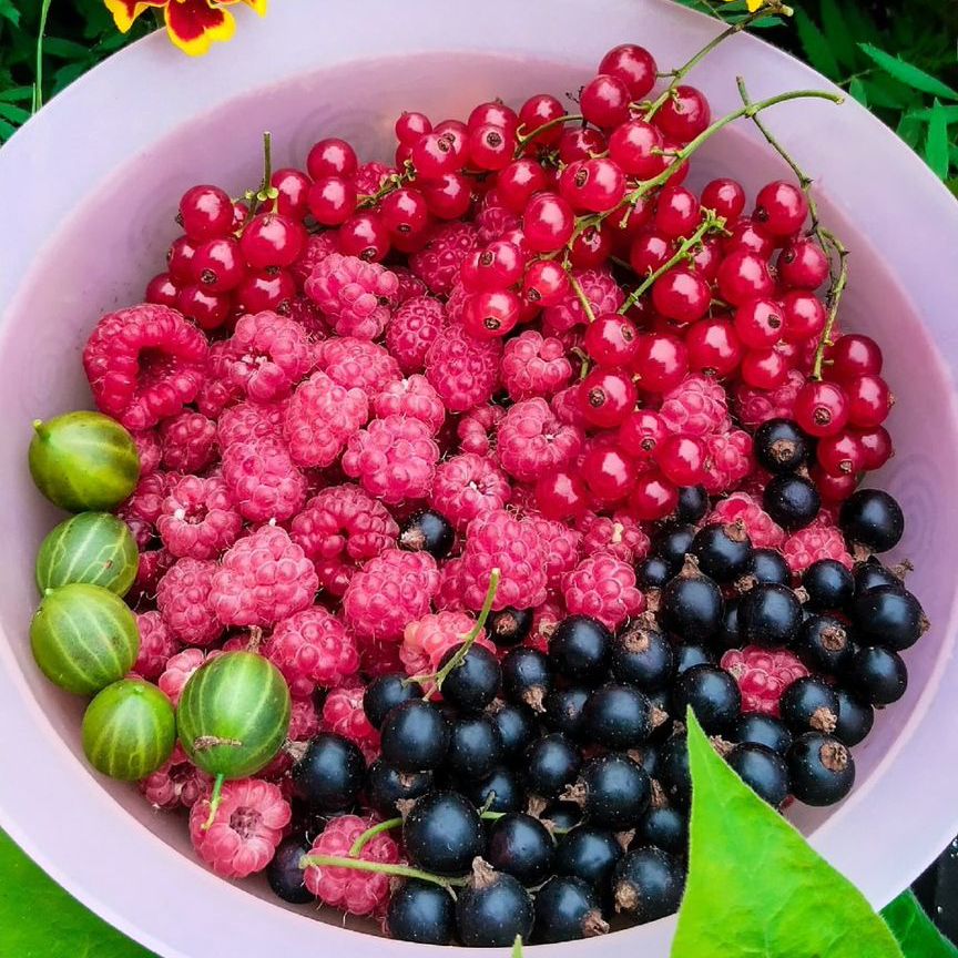 Квартира 3-комн. 54.3 м² в с. Парабель — фото 9 из 19