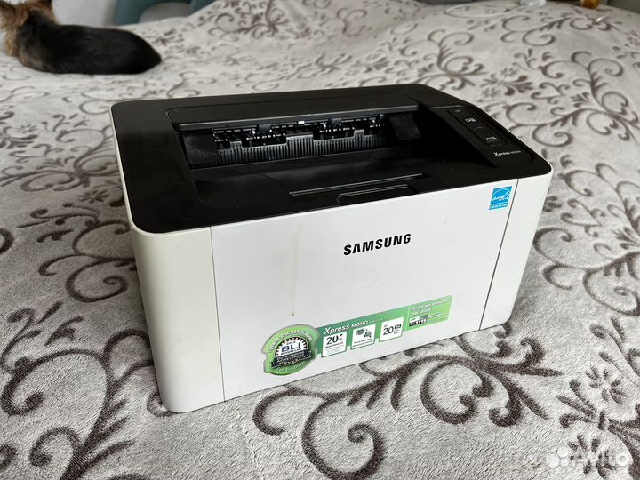 Принтер samsung xpress m2020