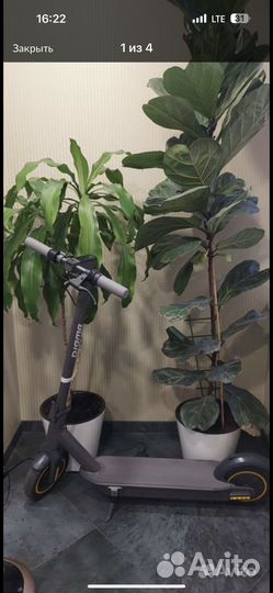 Электросамокат