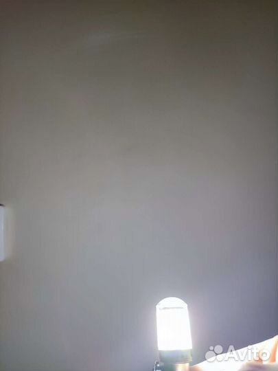 Светодиодные лампы заднего хода P21W