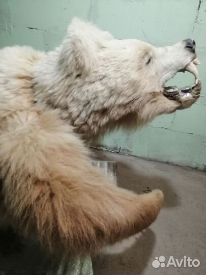 Статуэтка Медведя, фигурка животного