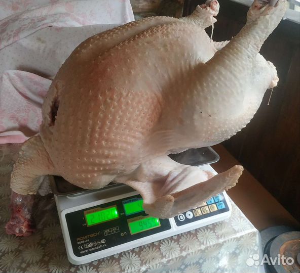 Мясо домашней индейки