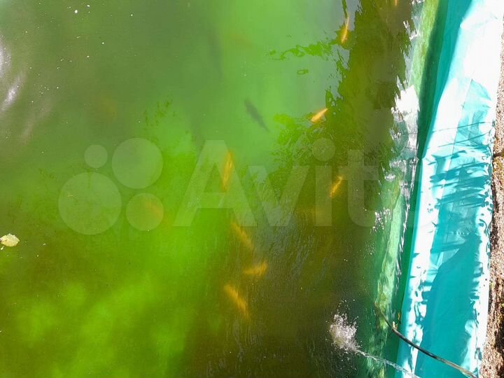 Дом 178 м² на участке 6 сот.