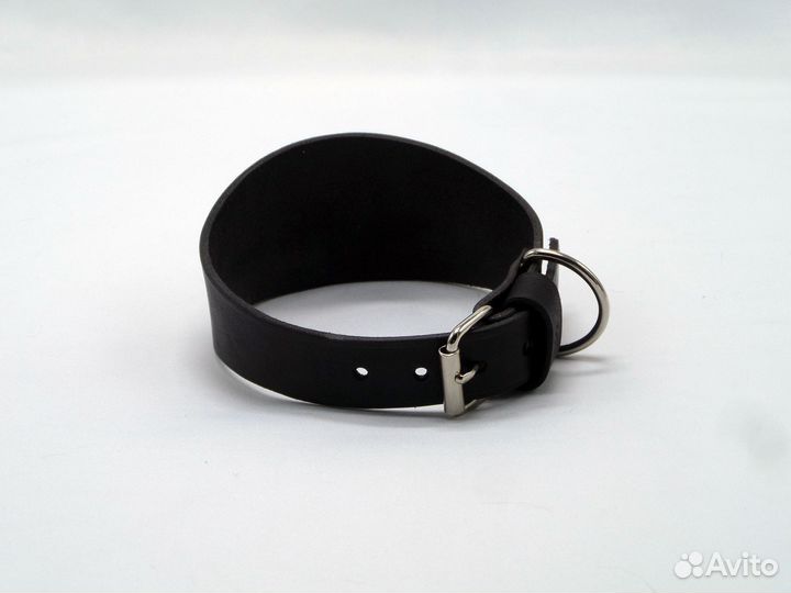 Ошейник селедка для собак