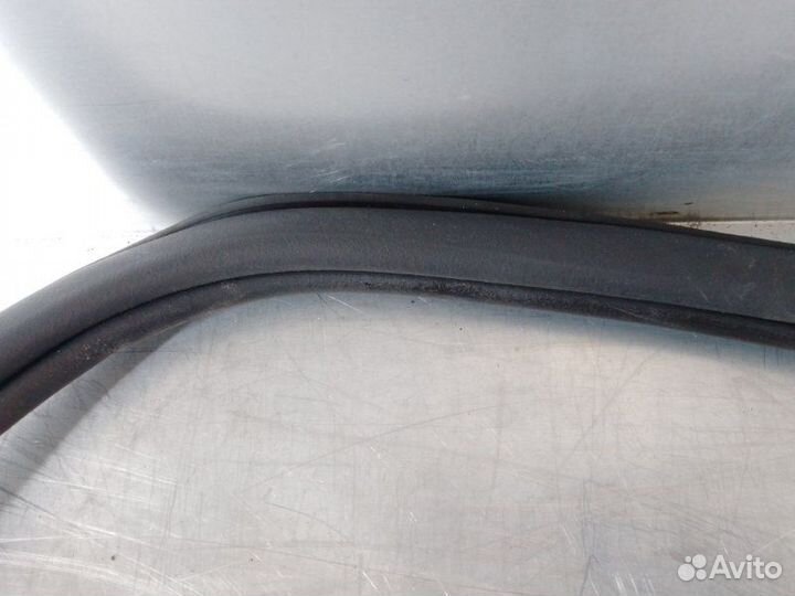 Уплотнитель двери Skoda Octavia Rs (A7) 2013-2020